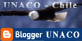 blogg